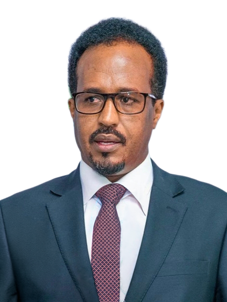 H.E. Amb. Gamal Mohamed Hassan