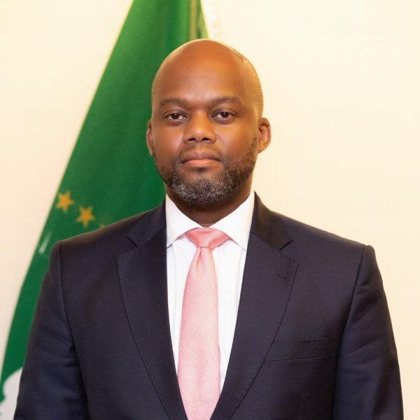 H.E. Wamkele Mene